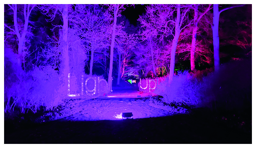 Lichter im Bremer Rhododendronpark